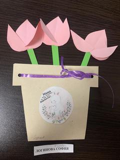 46 Логинова София